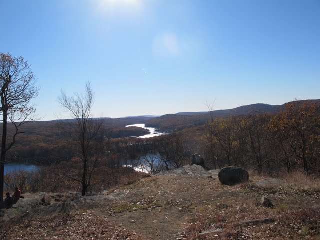 IMG_5515.JPG