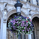 grand place in downtown brussels in Brussels, Belgium 