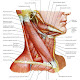 Dr. Andrea Alberti - Fisioterapista