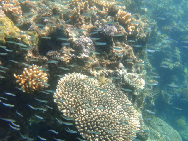 Филиппины - релаксный остров Палаван и Манила