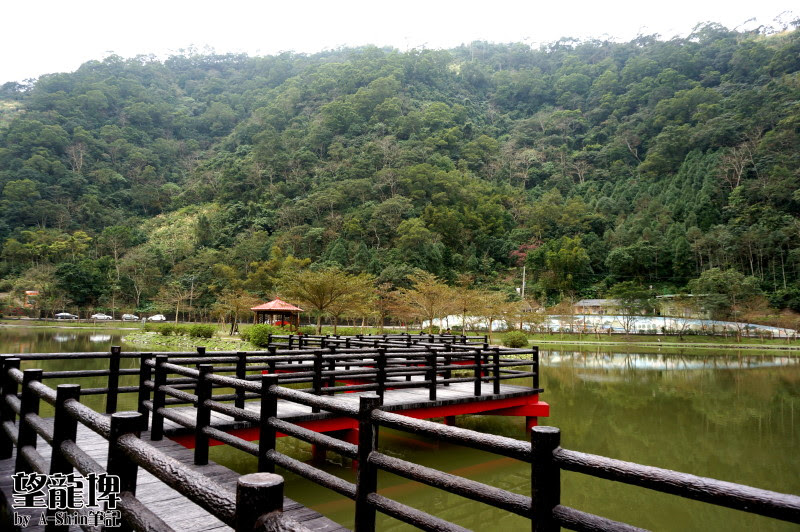 望龍埤|尋找下一站幸福嗎？望龍埤說不定可以遇見真愛！偶像劇取景地大公開~