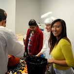 pumpkin carving time in Etobicoke, Canada 