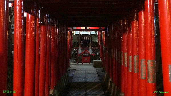 来到神社前