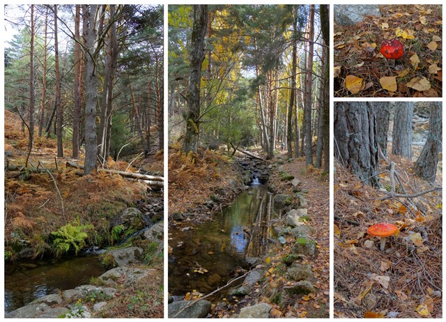 Cascada del Hornillo, Sta. Mª de la Alameda (Madrid). Monasterio del Escorial. - Comunidad de Madrid: pueblos, rutas y lugares, incluyendo senderismo (16)