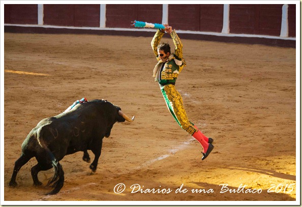 Toros Feria 2015-9980