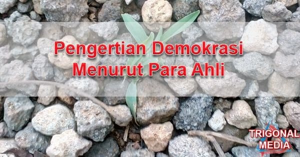 Pengertian Demokrasi Menurut Para Ahli - Trigonal Media