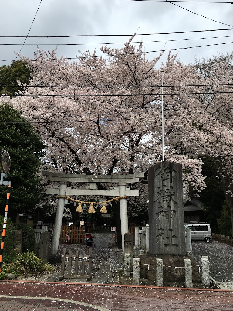 御嶽神社 桜坂 東京都大田区北嶺町 田園調布本町 墳丘からの眺め