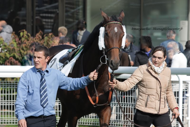 Photos Auteuil 11-10-2015 IMG_5164