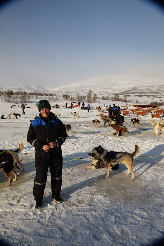 Escapada boreal a Noruega (2015) - Blogs de Noruega - En trineo por la nieve (1)