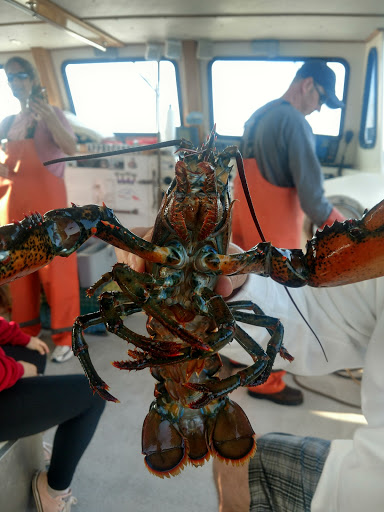 Sightseeing Tour Agency «Lulu Lobster Boat Ride», reviews and photos, 55 West St, Bar Harbor, ME 04609, USA