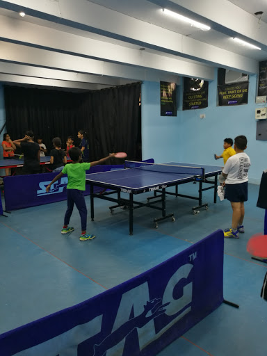 PINNACLE TABLE TENNIS ACADEMY, Gayatri Apartments, Pocket 21, Sector 9, Rohini, New Delhi, Delhi 110085, India, Table_Tennis_Facility, state DL