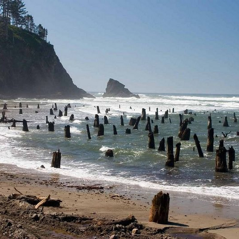 Collection 91+ Images how to get to neskowin ghost forest Latest