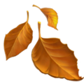 fallen-leaf_1f342