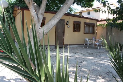 Photos of Camping Las Palmeras
