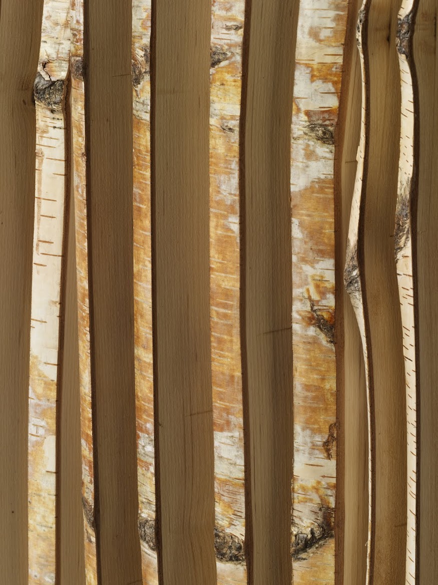 Bohemian Apartment Birch Boards.jpg incorporated architecture design benroth rolston stuart Bohemian Apartment Birch Boards.jpg