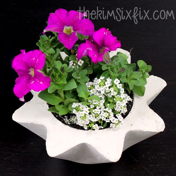 Flower pot concrete planter