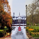 Miami University Seasons