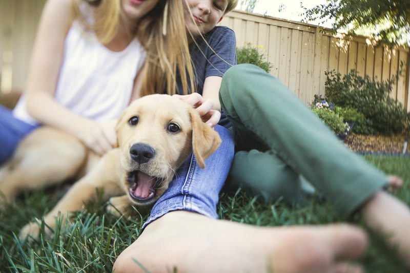 orange county family lifestyle photography-16