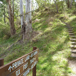 Six Foot Track sign on floodplain east of lodge (414134)