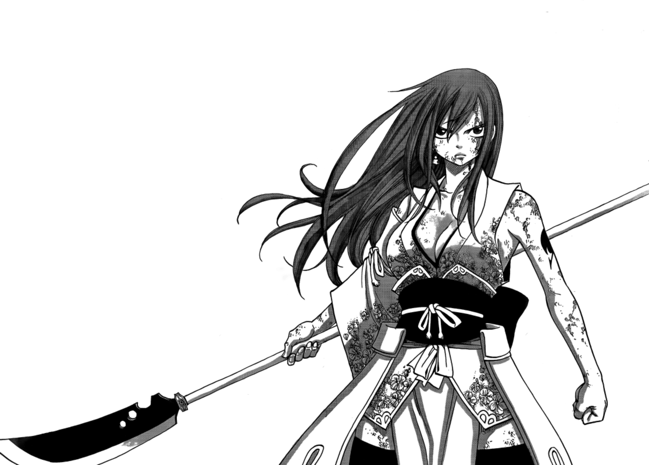 파일:attachment/Fairy_Tail_-_Erza_Scarlet_-_Armor_-_Robe_of_Yuen_(1).jpg