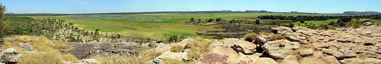 AUSTRALIA: EL OTRO LADO DEL MUNDO - Blogs de Australia - El norte tropical: Darwin-Kakadu (8)