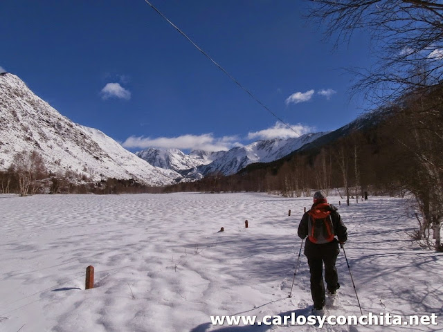 Los postes de las vallas , casi cubiertos de nieve