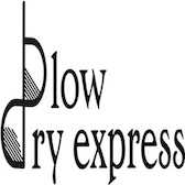 Blow Dry Express logo