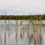 20140809_Fishing_Ostrivsk_092.jpg