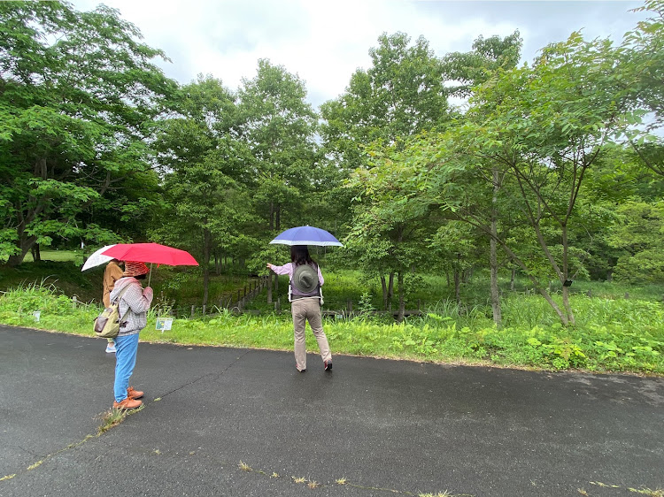 プリウスの山形市野草園・麺辰・ガーデニングに関するカスタム事例の投稿画像4枚目