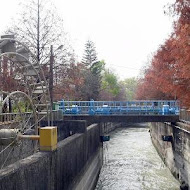 澄霖沉香味道森林館