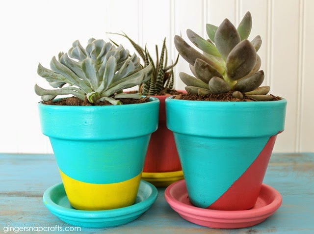 color blocked pots