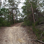 Looking up the hill (129958)