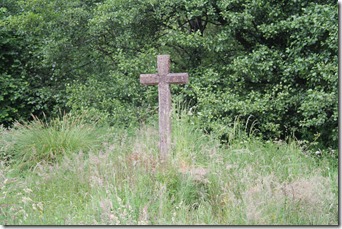 IMG_4871 IMG_4871