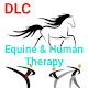 DLC EQUINE & HUMAN THERAPY