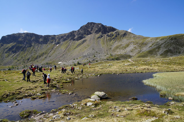 Priča iz Austrije