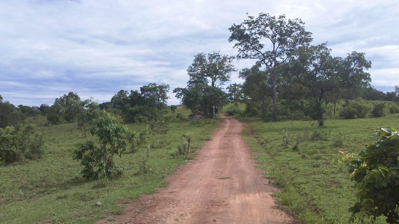 Estrada Estação Guavira - fotos Esta%C3%A7%C3%A3o+Guavira+072