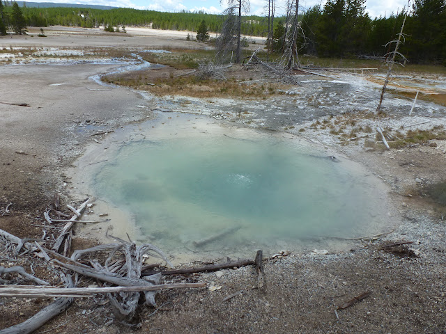 PN Yellowstone. Madison. Valle río Gibbon. Norris Geyser Basin. 12 Julio - LAS ROCOSAS DE CANADA. YELLOWSTONE Y GRAND TETON. (40)