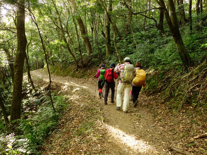 2013_1207 東滿步道→拉卡山→北插天山水源地_173