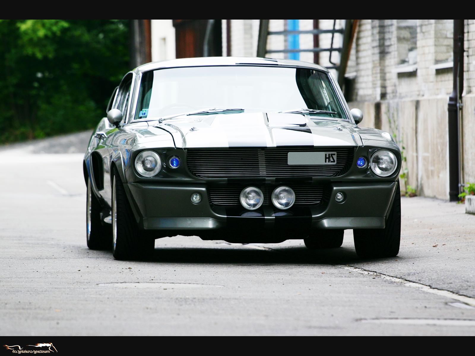the Shelby GT-500 Eleanor: