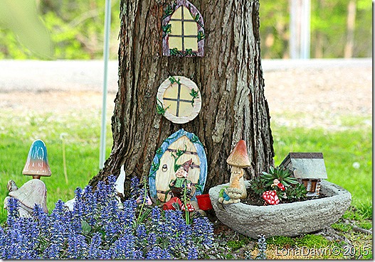 Gnome Garden2 Ajuga Burgandy Glow