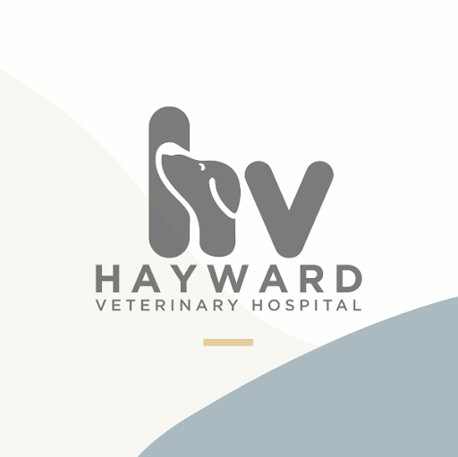 Hayward Veterinary Hospital logo