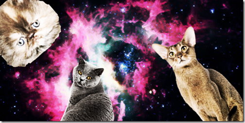 gatos galacticos  (1)