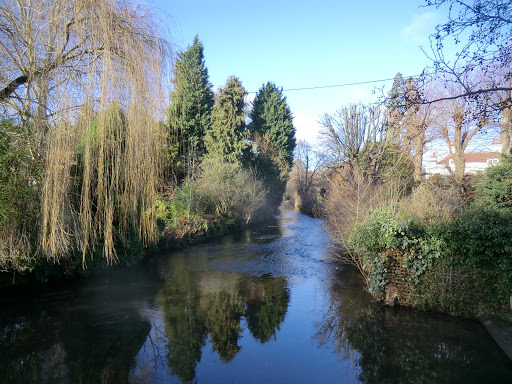 CIMG8077 River Darent from Shoreham Bridge