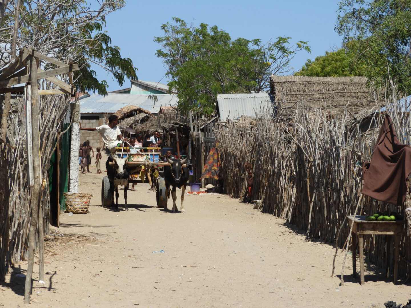 Ifaty - Madagascar