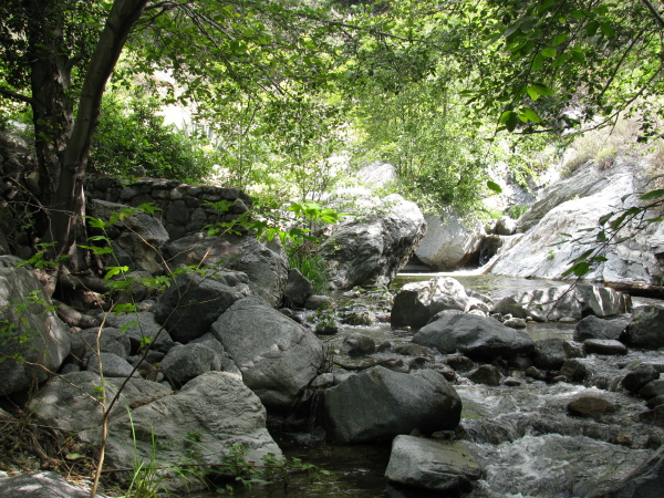 a pool along Fish Creek and a wall that no longer serves a purpose