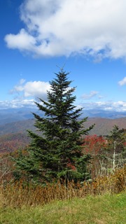 Blue Ridge Parkway