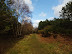 Track through Dunwich forest