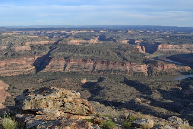 many wandering holes in the ground