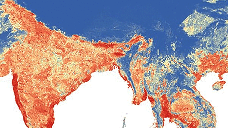 Moritz et al 2015 Global Aedes aegypti distribution detail2