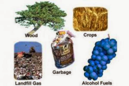 Biomass Energy As A Renewable Source